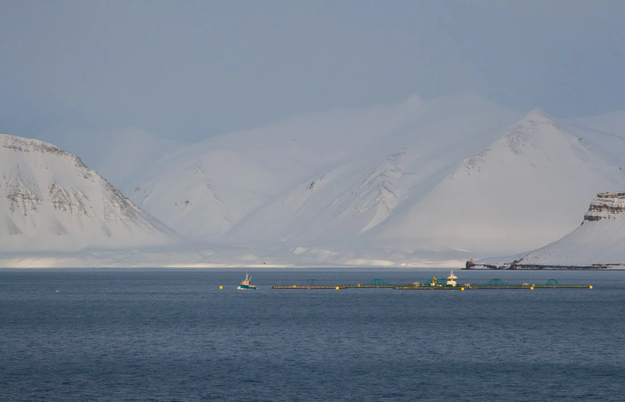 Aquaculture pens on a calm fjord